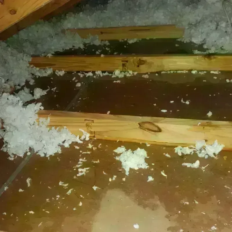 Attic Water Damage in Dewey County, SD